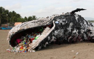 We are all made of flesh and plastic: the enormous price of plastic