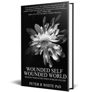 Wounded Self Wounded World